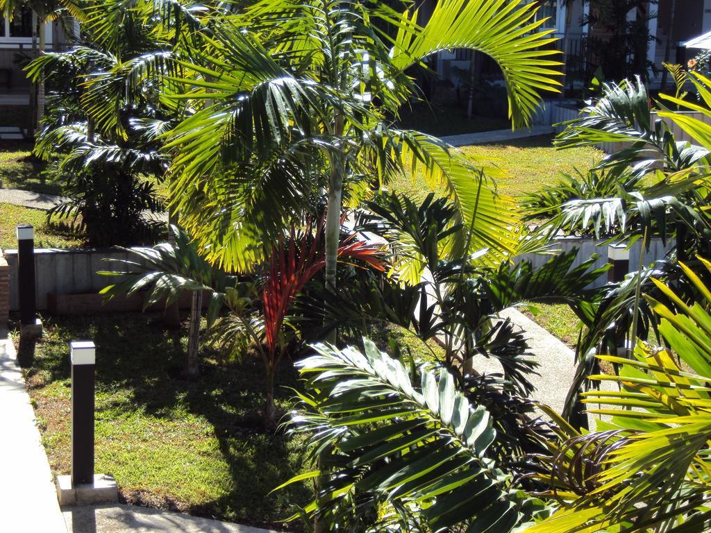 Hotel Colibri Koné エクステリア 写真
